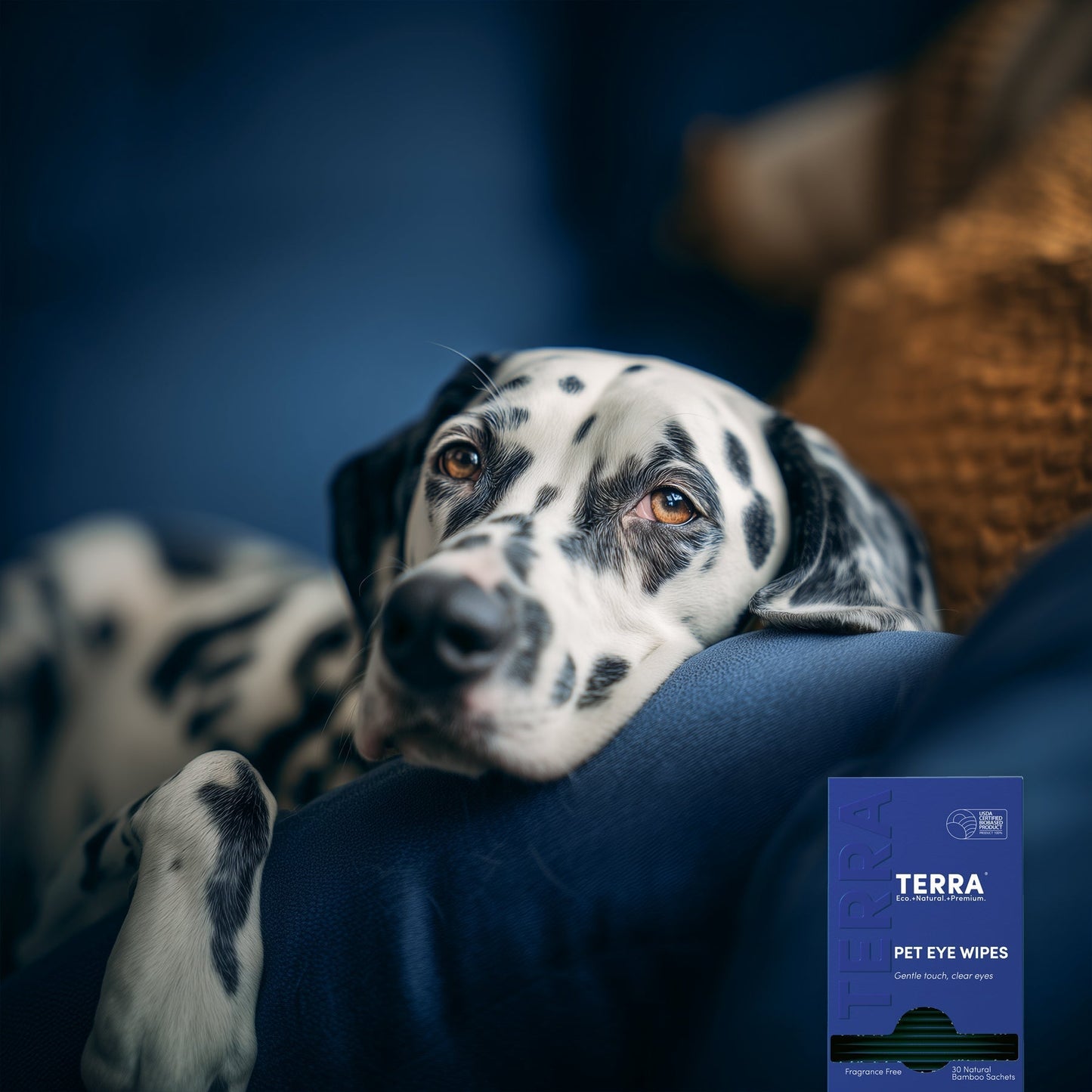 TERRA Pet Eye Wipes 30s x 6 TERRA NZ